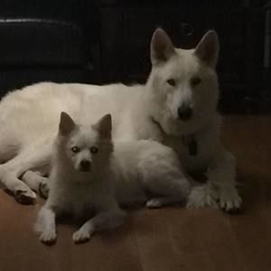 Meet your Posher, Marquetta